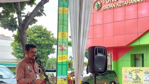 Mentan Syahrul Limpo <i>Wanti-wanti</i> Impor Tak Dilakukan Saat Panen Raya Petani