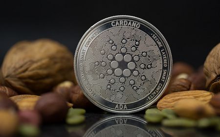 Cardano Bikin Pertukaran Terdesentralisasi (DEX) Sendiri, Namanya Cardax