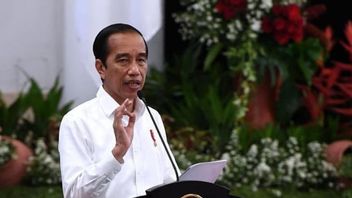 Jokowi présente les lignes directrices d’Azec sur le changement climatique