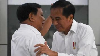 Meme Ciuman Prabowo Subianto dan Jokowi: Antara Kebebasan Berekspresi dan Niretika
