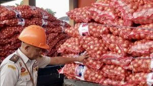 DPR: Penyelundupan Bawang Berpenyakit Ancam Petani dan Ketahanan Pangan Nasional