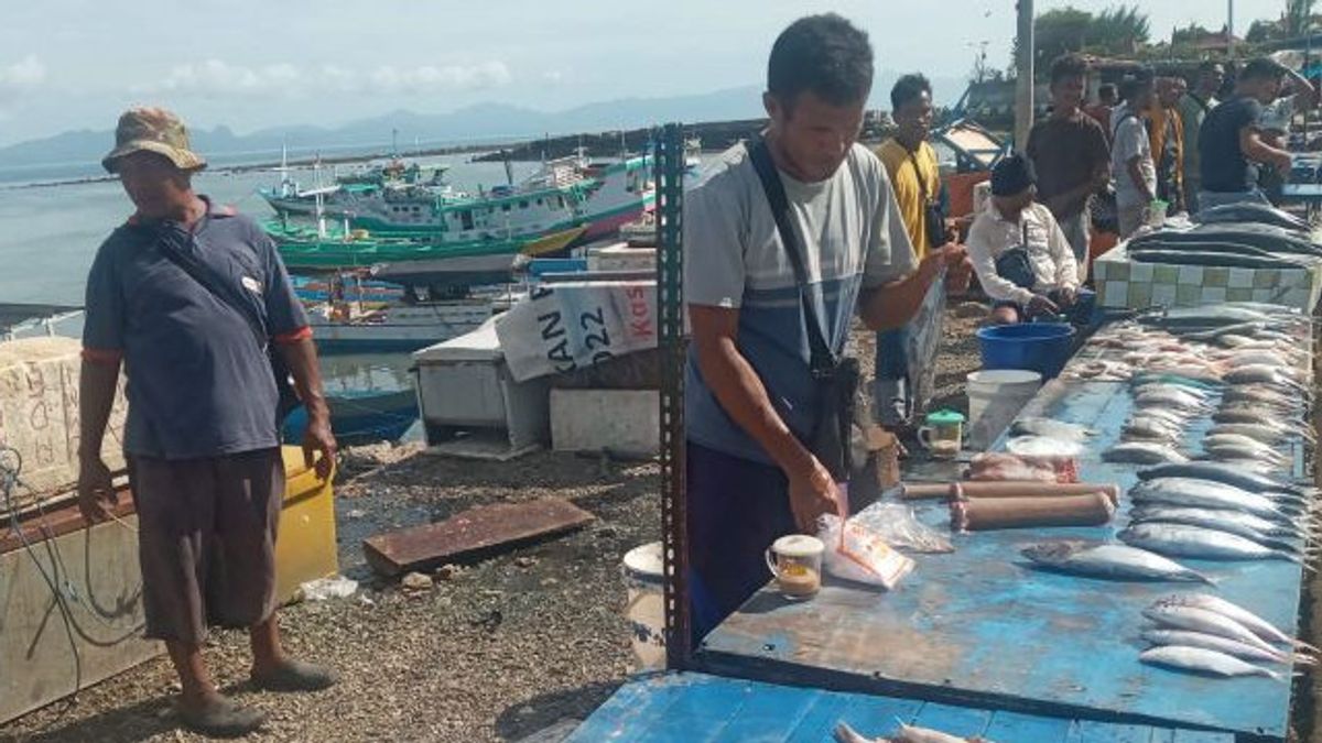 由于天气恶劣，古邦的鱼价飙升了100%以上