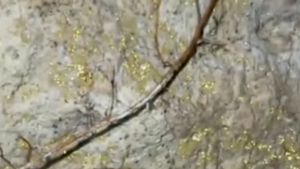 Viral Gua di Deli Serdang yang Disebut Punya Serpihan Emas, Geolog Berikan Penjelasan