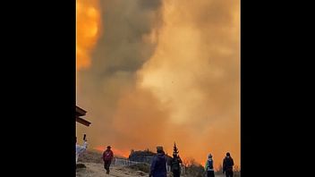 Tornado Api Muncul di Gunung Bromo, Kebakaran Akibat <i>Flare Prewedding</i> Meluas