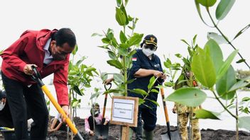 Ketika Negara Benar-benar Hadir di Pulau Bengkalis