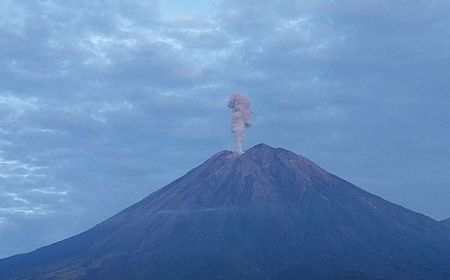 Gunung Semeru Erupsi dengan Letusan Kolom Abu Setinggi 1 Km