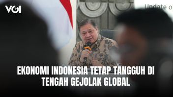 エアランガは、1998年とは異なり、インドネシア経済は世界的な混乱にもかかわらず、困難であると述べた