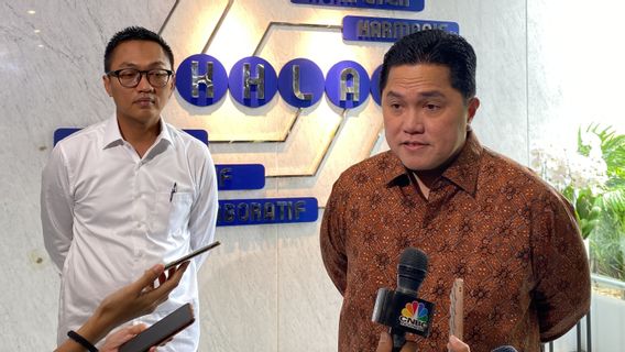 Erick Thohir Sebut Smelter Freeport Beroperasi Kembali September 2025