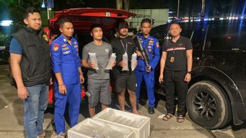 Polairud Baharkam Polri がスカブミで11,543頭のロブスター種子の密輸を阻止