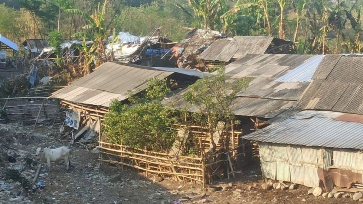 DLH Semarang Berencana Relokasi Sapi Milik Warga di TPA Jatibarang