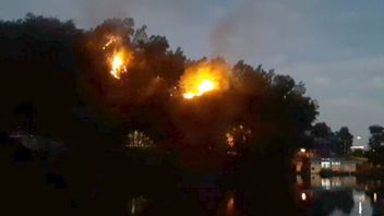 联合官员试图扑灭班尤马斯的森林火灾