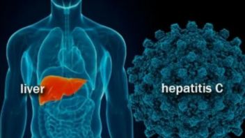 保健省:35の証明されていない謎の肝炎レポートの半分