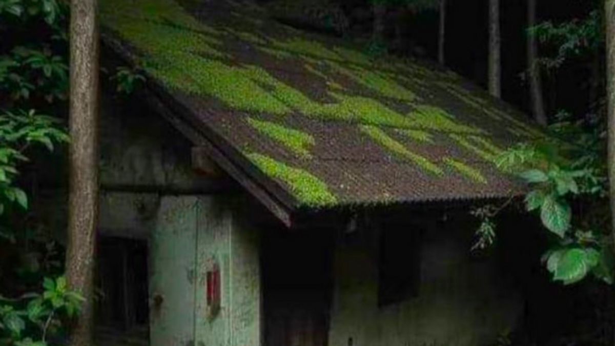 Viral Rumah Dijual Rp25 Juta di Yogyakarta, Dinilai Seram hingga Disorot Joko Anwar