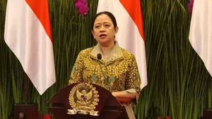 بوان: الهزيمة في كأس سوديرمان زخم تحسين تجديد رياضيي كرة الريشة
