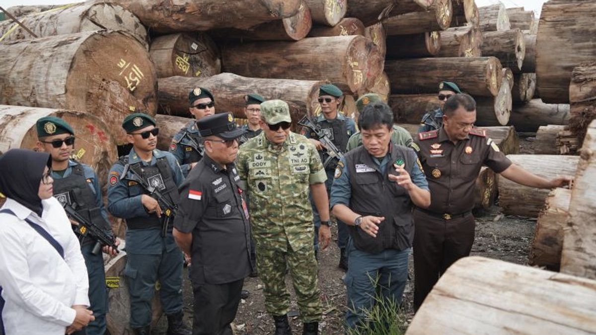 Diduga Rugikan Negara Ratusan Miliar, Kemenhut Proses Hukum Kasus Pembalakan Hutan Sipora Mentawai