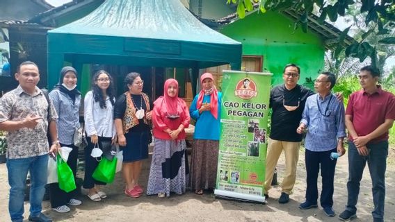 Manfaatkan KUR BRI, Pengusaha Wanita Ini Berhasil Sulap Daun Kelor Jadi Aneka Olahan Pangan yang Digemari