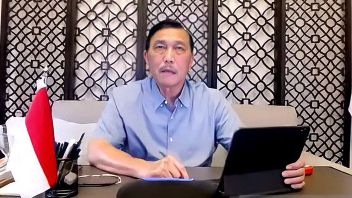 Luhut Reveals Cooking Oil Problems, From Hoarding To Monopolistic Practices