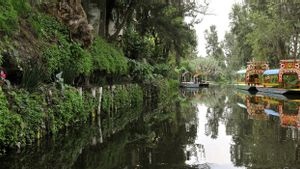 Mexico City Manfaatkan Energi Matahari untuk Bersihkan Kanal Bersejarah Era Aztec