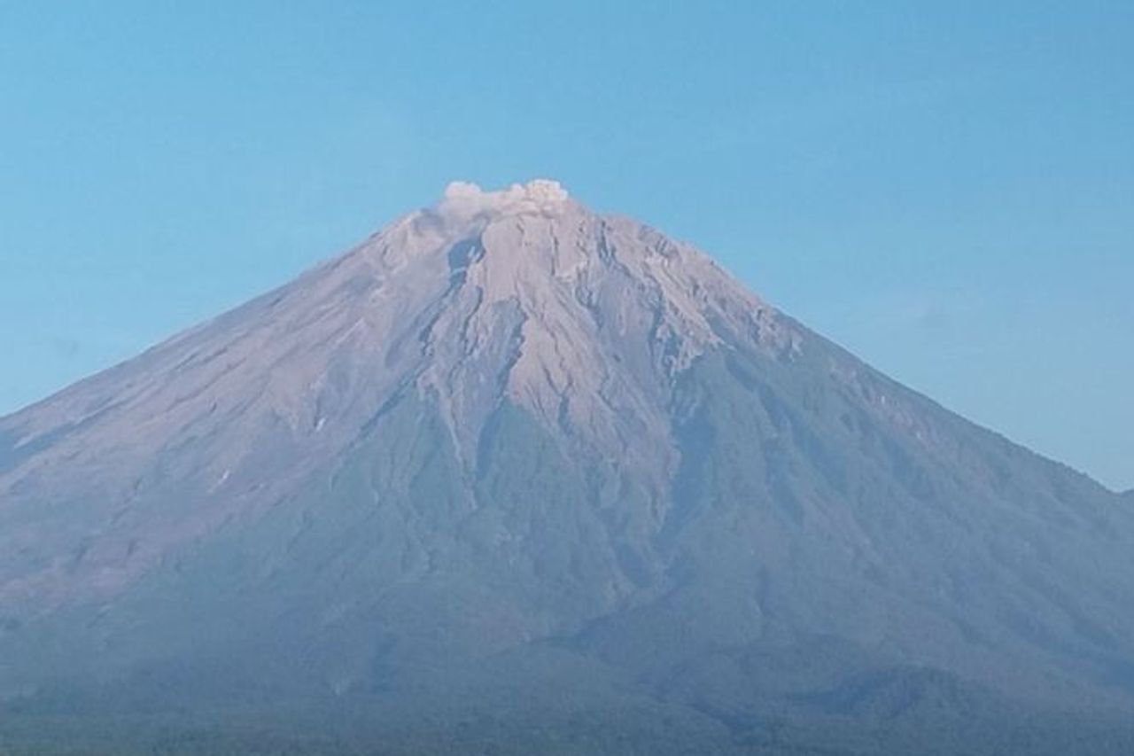 Munt Semeru, une éruption avec une colonne d'abus volcanique de 500 mètres