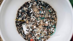 Waspada Bahaya Mikroplastik di Lingkungan Sekitar, Ini 3 Cara untuk Mencegah Paparannya