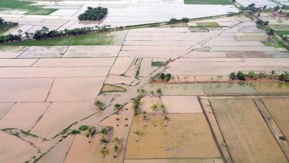 فرقة العمل لإعادة تأهيل آلاف الهكتارات من المزارع المتضررة من الكوارث