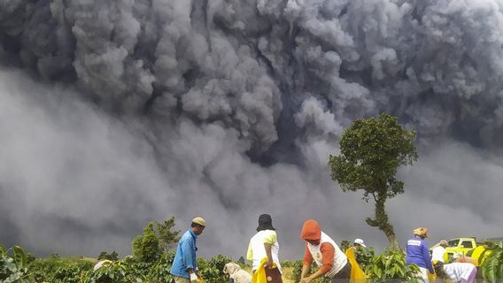 Waspada, Meteorologi Prediksi Letusan Sinabung Hingga ke Malaysia