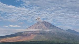 6 Jam Terakhir, Gunung Semeru Alami 32 Gempa Letusan