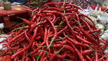 贸易部长Zulhas的Kramat Jati市场的价格检查:辣椒上涨,今天每公斤100,000印尼盾
