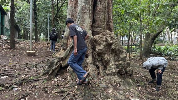 Rawan Rusak Fasilitas Umum, Lokasi Berburu Koin Jagat di Jakarta Dijaga Satpol PP 