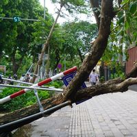 Topan Yagi Sebabkan Sungai Merah Meluap dan Banjiri Hanoi, 155 Orang Tewas