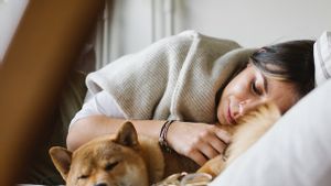 Punya Risiko Asma? Penelitan Sebut Pola Tidur Teratur Bisa Kurangi Efek
