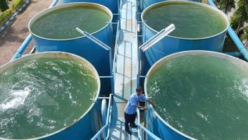 Le gouvernement local de Bekasi est encouragé à enquêter sur les allégations selon lesquelles l'entreprise utilise de l'eau de terre