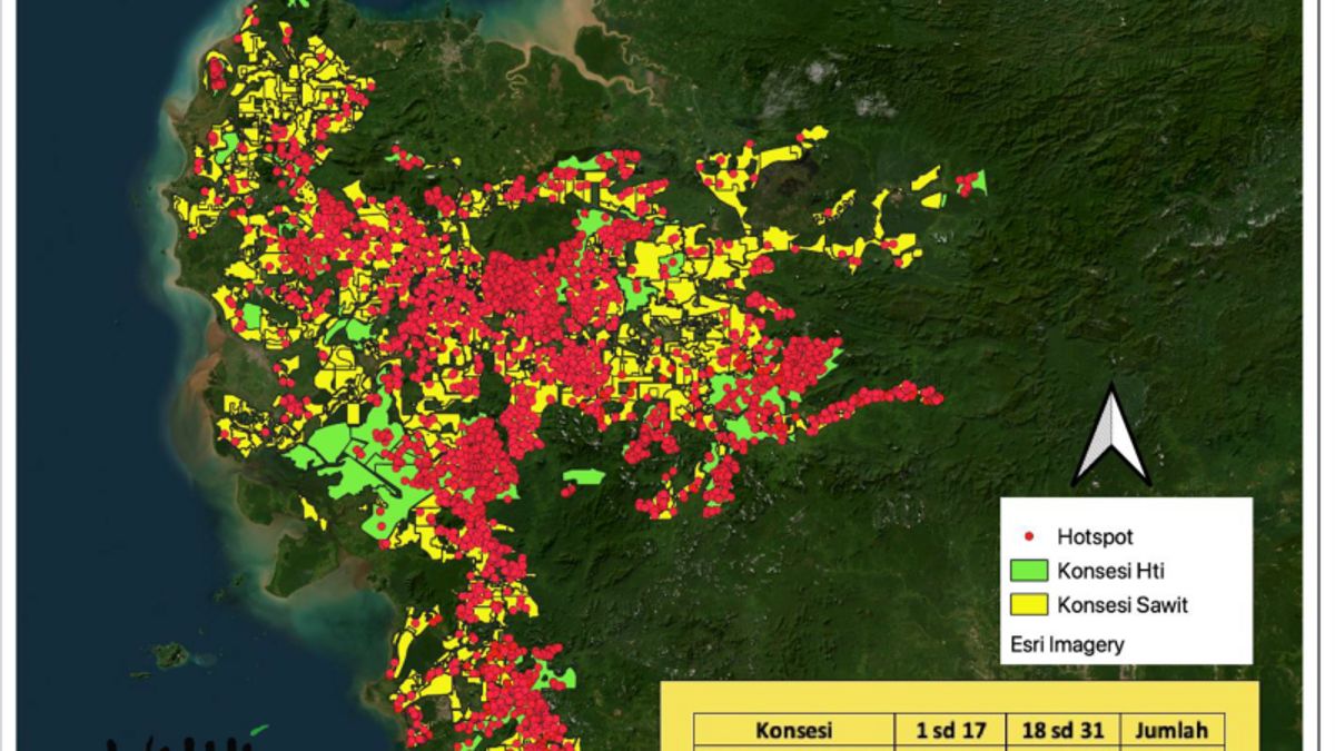 Walhi Finds 7,376 Hotspots In 235 Palm Oil And HTI Concessions In West Kalimantan