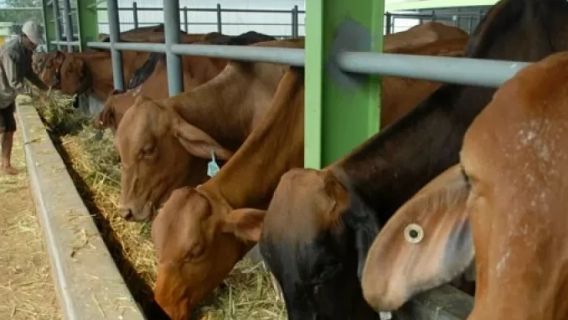 ロンボク島中部のすべての動物市場が閉店