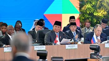 印尼推动BRICS协议的四大支柱:贸易、和平与世界秩序改革