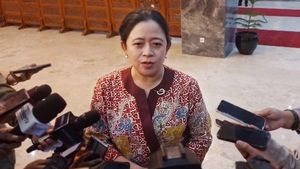 Aksi Bidan Seberangi Sungai Antar Obat, Puan: Negara Tak Boleh Lepas Tanggung Jawab