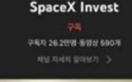 Channel YouTube Pemerintah Korea Selatan Diretas, Tampilkan Video Elon Musk Bahas Kripto