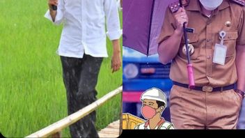Mas Gibran Blusukan Relaxing Style Review Viaduk Gilingan, Breaking Rain With Purple Umbrella, So Remember Jokowi In Sumba NTT