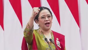 Pidato Puan Soal Negara Konoha hingga Indonesia Gelap Dinilai Jadi Wake Up Call bagi Pemerintah
