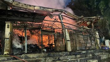 Curhat Penjual Barang Antik Komunitas Punk di Taman Pasar Puring, Barang Terbakar Rugi Puluhan Juta