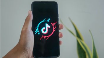 No Need To Bother, Here's How To Upload TikTok Content Using The Available Templates