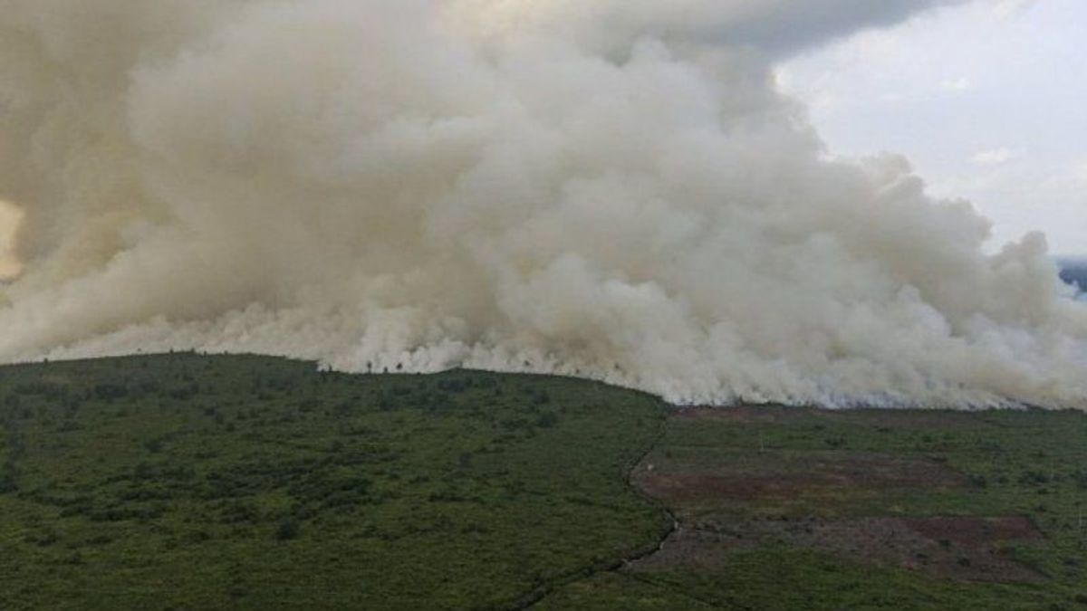 10ヘクタールのジャムシアクモールフォレストリアウ火災新土地の開墾による、BKSDA:現在は冷却プロセスです