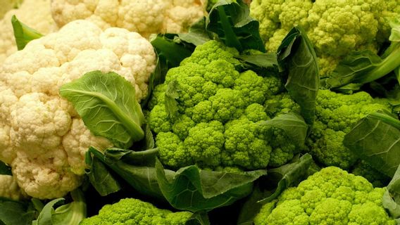 Apa Itu Sayuran <i>Cruciferous</i>? Intip Kandungan Gizi Beserta Manfaatnya untuk Kesehatan 