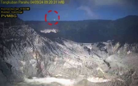 Hutan Taman Wisata Gunung Tangkuban Perahu Kebakaran