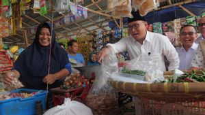 民主党Jubir Sebut Sudaryono 成为中爪哇省省长选举的潜在候选人