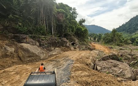 Pembangunan PLTA Kayan Gandeng Ahli Lingkungan: Pastikan Tidak Pengaruhi Ekosistem Sungai