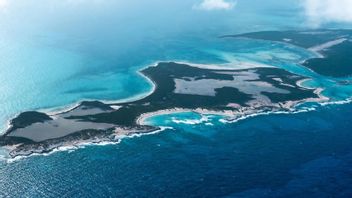 Cette île Privée Et Belle Est Vendue Aux Enchères, Les Prix Commencent à Partir De IDR 280 Milliards