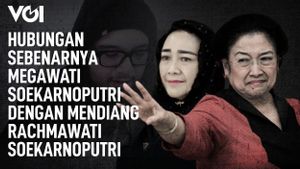 VIDEO: Ini Kata Didi Mahardika Melihat Hubungan Megawati Soekarnoputri dengan Mendiang Rachmawati Soekarnoputri