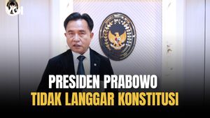 Yusril: Amnesti Hasto Kristiyanto, Abolisi Tom Lembong, Presiden Prabowo Sudah Sesuai Aturan