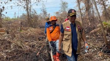 廖内森林和陆地火灾工作队在3个地区扑灭火灾